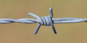 فروش و نصب سیم خاردار خطی سوزنی