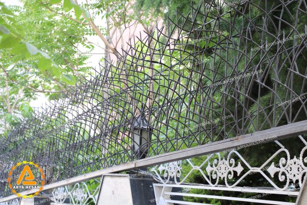 حفاظ شاخ گوزنی نیزار