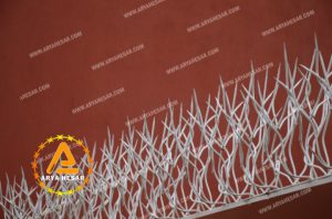 حفاظ شاخ گوزنی,حفاظ شاخ گوزنی بوته ای,تولید حفاظ شاخ گوزنی,تولید کننده حفاظ شاخ گوزنی,نصب حفاظ شاخ گوزنی,قیمت حفاظ شاخ گوزنی,فروشنده حفاظ شاخ گوزنی,خرید حفاظ شاخ گوزنی,اجرای حفاظ شاخ گوزنی,تولید حفاظ شاخ گوزنی بوته ای,تولید کننده حفاظ شاخ گوزنی بوته ای,نصب حفاظ شاخ گوزنی بوته ای,اجرای حفاظ شاخ گوزنی بوته ای,یمت حفاظ شاخ گوزنی بوته ای,فروش حفاظ شاخ گوزنی بوته ای,فروشنده حفاظ شاخ گوزنی بوته ای,خرید حفاظ شاخ گوزنی بوته ای